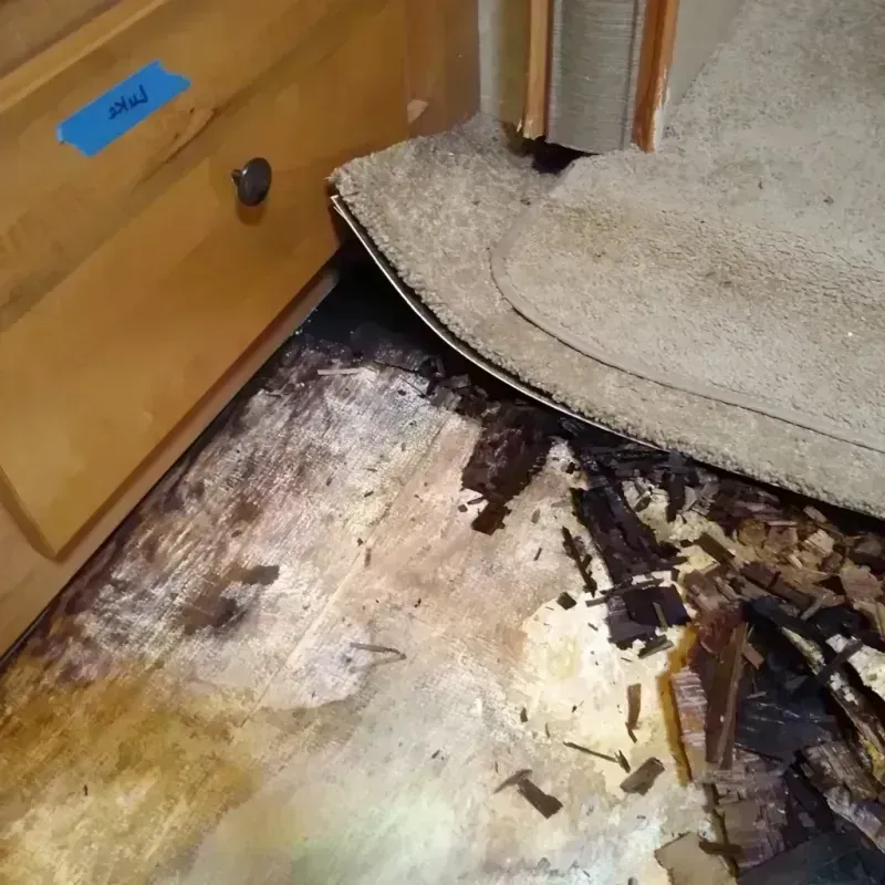 Best Wood Floor Water Damage Service in Saline County, AR